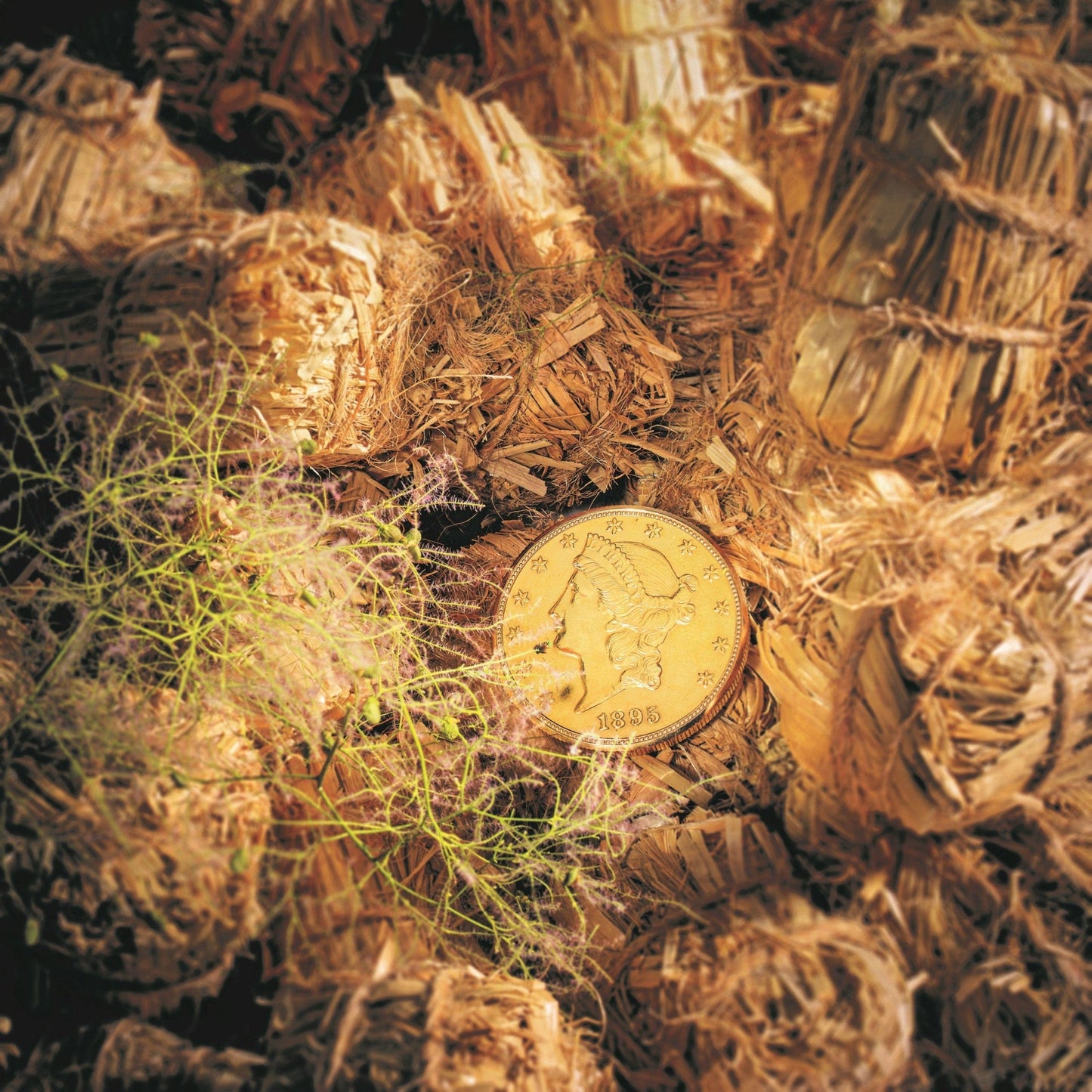 Antique Audemars Piguet Pocket Watch