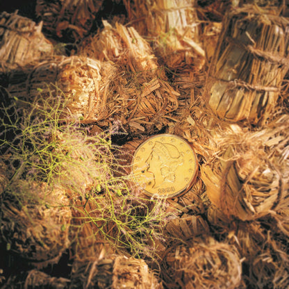 Antique Audemars Piguet Pocket Watch