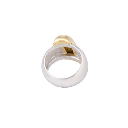 AA Turner Bicolor Ring
